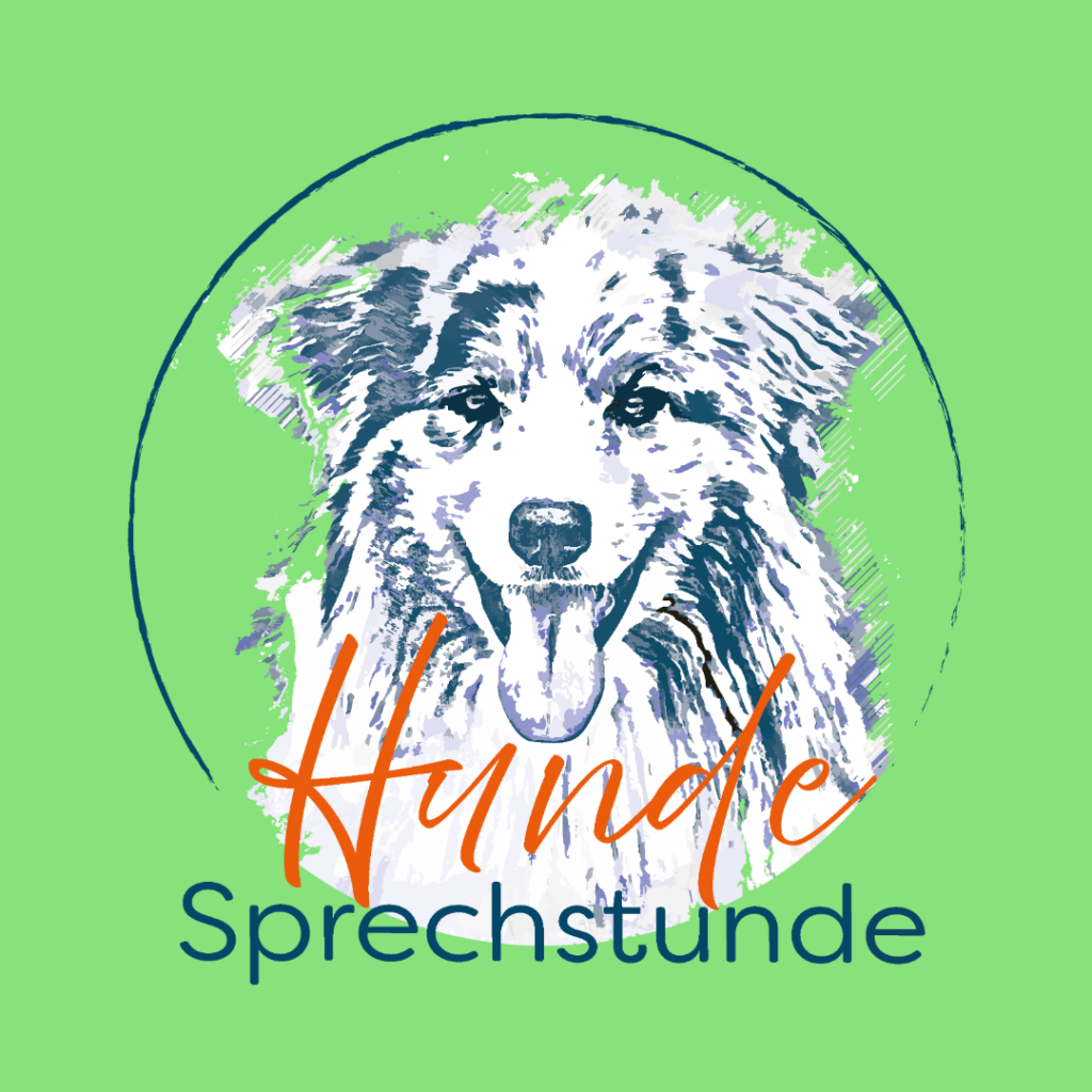 logo insta google
